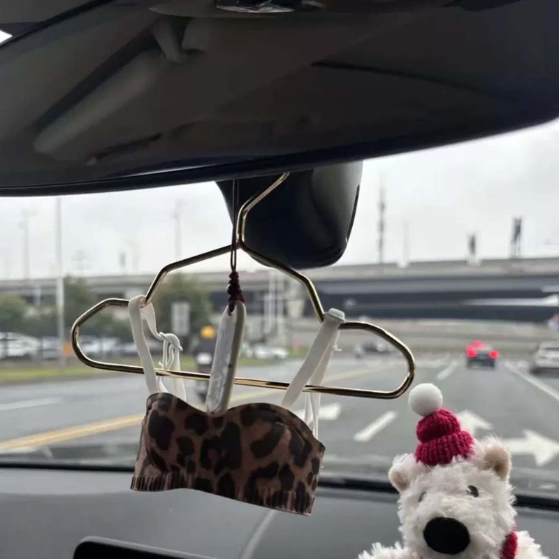 Mini Lingerie Car Ornament, Cu - Interior Design Years 评论和价格
