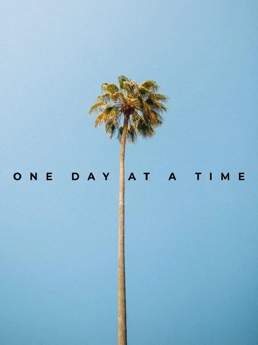 One Day at a Time Inspirationa - Interior Design Quotes 评论和价格